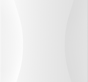 BDCOM WAP2100-I736-X WLAN